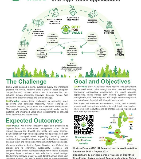 OptiForValue General Poster