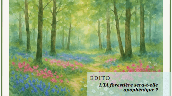 Front page issue 66 of Les Échos d'Ecofor