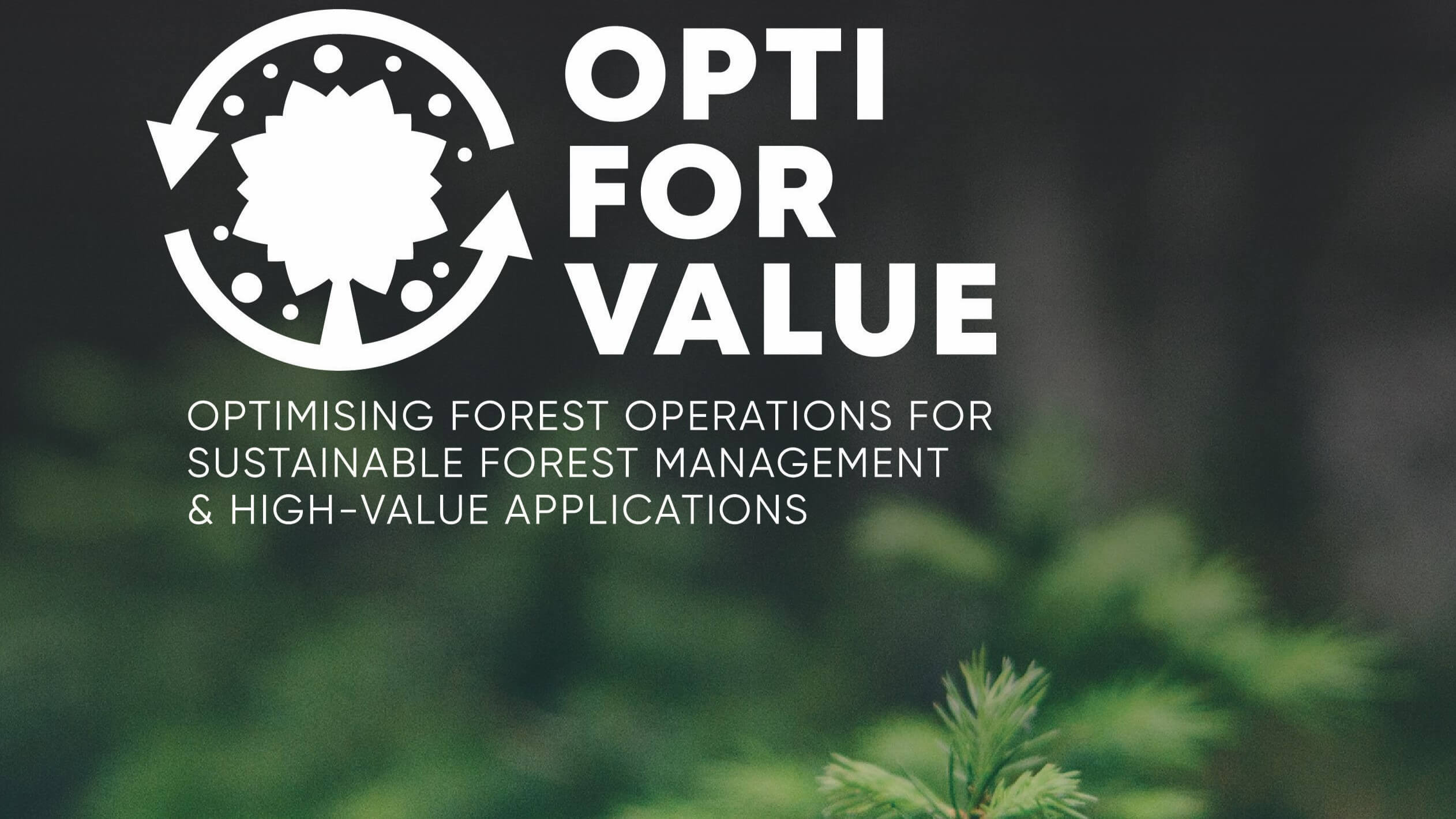 OptiForValue logo, overlaid on green forest background, promoting sustainable forest operations and high-value applications.