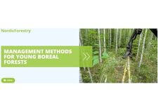 The NordicForestry project