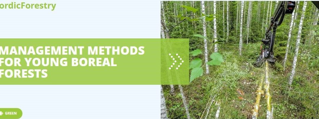 NordicForestry