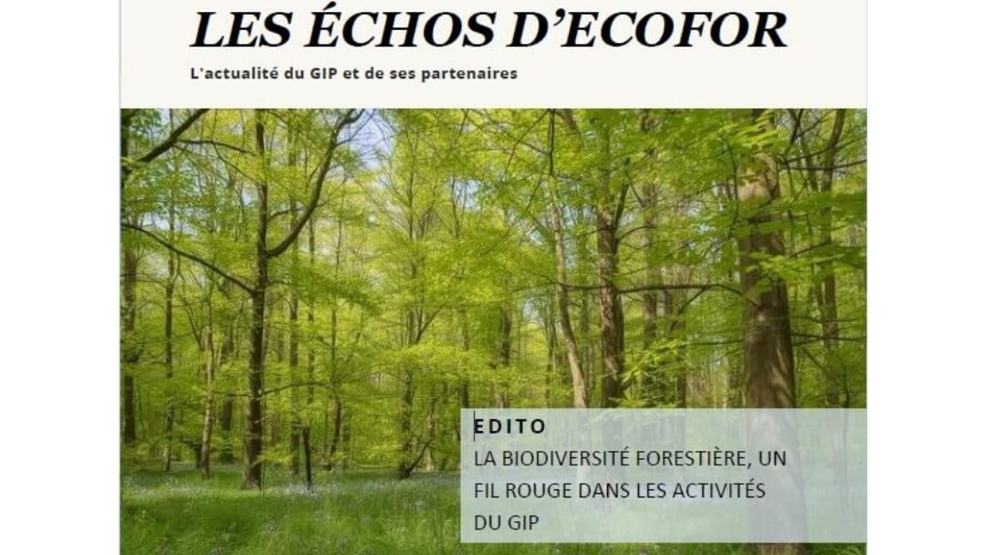 Les Échos d’Écofor n°69 La biodiversité forestière, un fil rouge dans les activités du GIP (Forest biodiversity, a common thread in the activities of the GIP (a French Forest Ecosystems Public Interest Group))