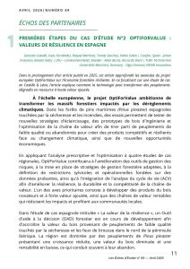OptiForValue news article in Les Échos d’Écofor n°69 (on page 11) in French 
